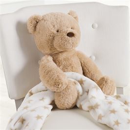 Bear Plush with Blanket - Debs on 5th